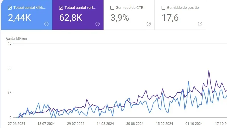 SEO resultaat